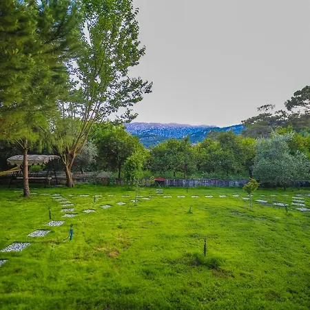 Alloggio in famiglia Seker Bungalov Çıralı