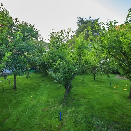 Проживание в семье Seker *