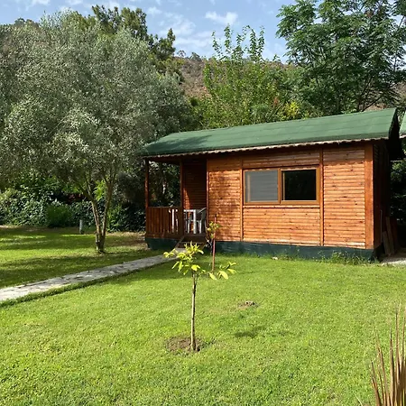 Seker Проживание в семье *