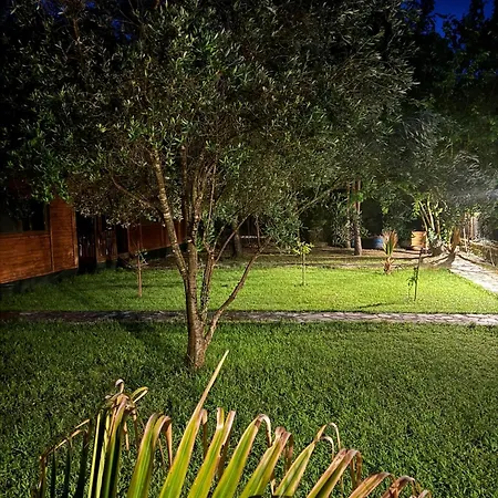 Seker Проживание в семье