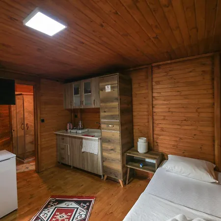 Seker Проживание в семье *