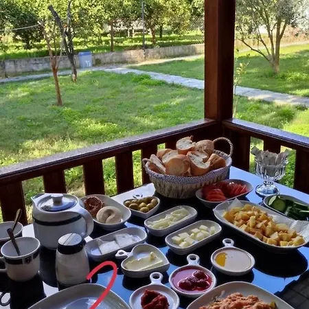 Seker Проживание в семье *