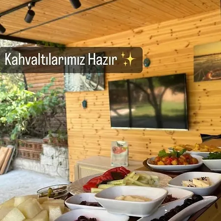 Проживание в семье Seker *