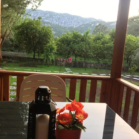 Homestay Seker Bungalov