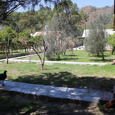 Homestay Seker Bungalov