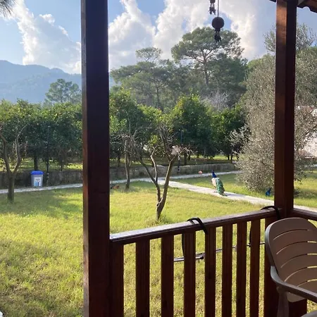 Seker Bungalov Homestay *
