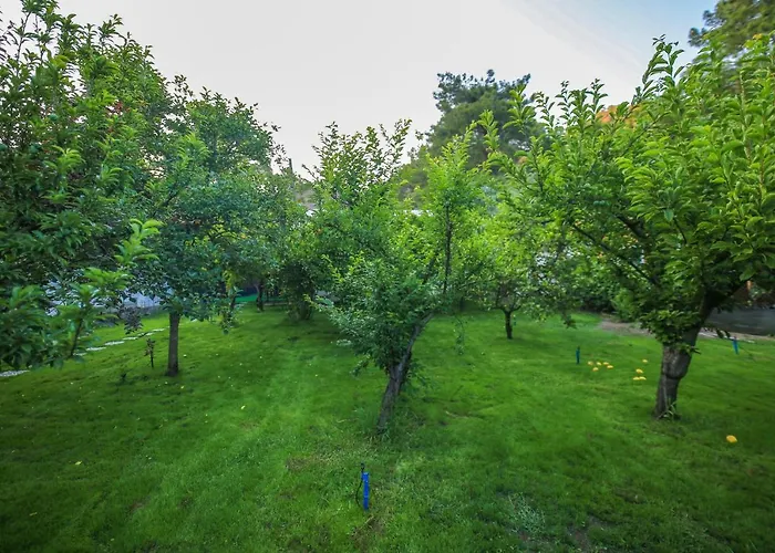 Homestay szállás Seker *