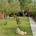 Seker Çıralı
